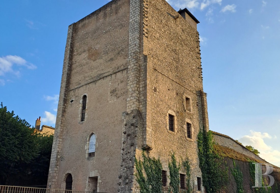 castles for sale France center val de loire   - 1