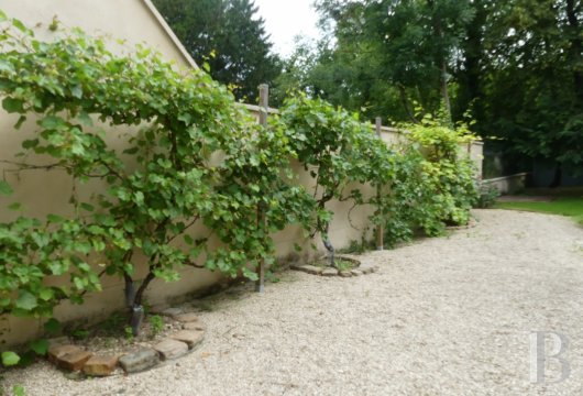 mansion houses for sale France burgundy   - 15