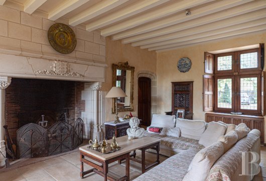 France mansions for sale center val de loire   - 7