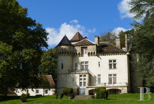 chateaux for sale France rhones alps   - 5