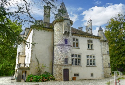 chateaux for sale France rhones alps   - 4