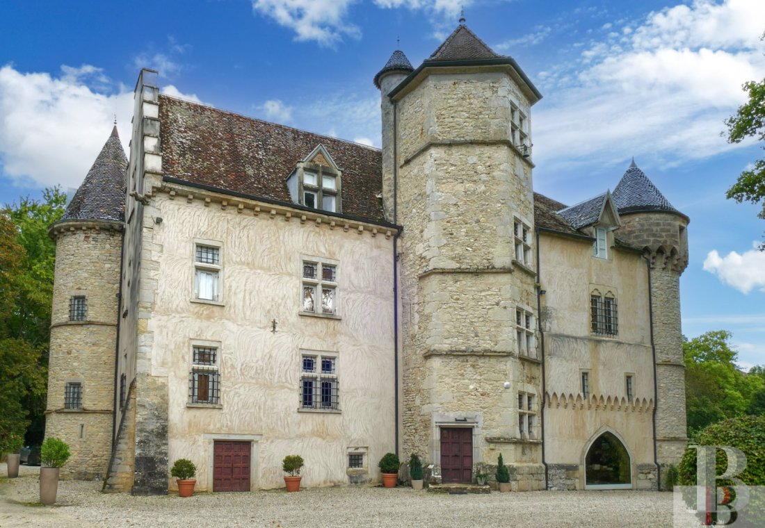 chateaux for sale France rhones alps   - 2