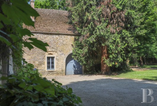 chateaux for sale France burgundy   - 28