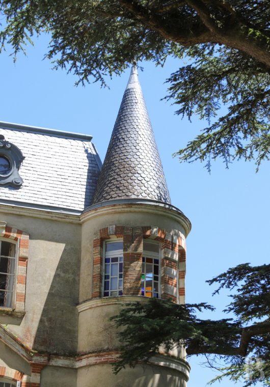 chateaux for sale France midi pyrenees   - 3