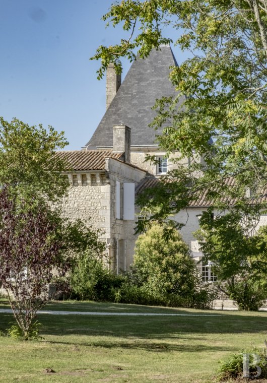 chateaux for sale France poitou charentes   - 2