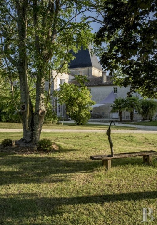 chateaux for sale France poitou charentes   - 3