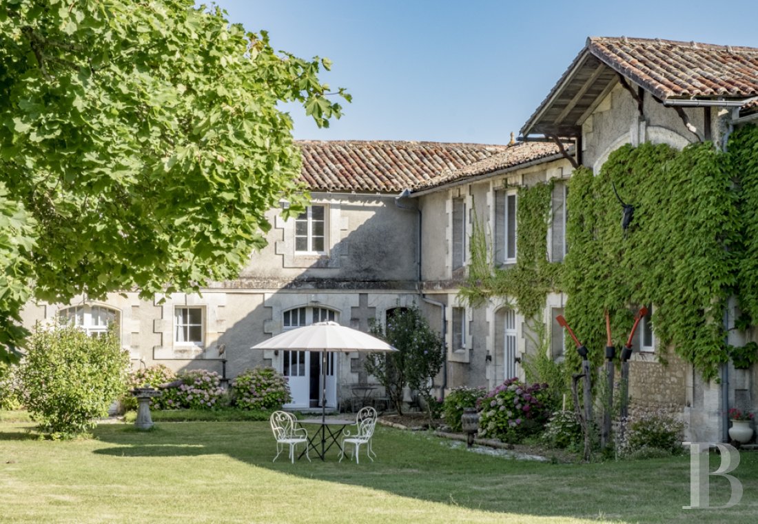 chateaux for sale France poitou charentes   - 10