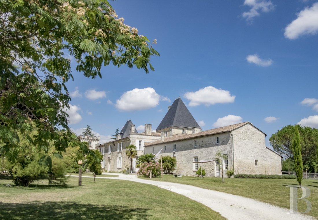 chateaux for sale France poitou charentes   - 1