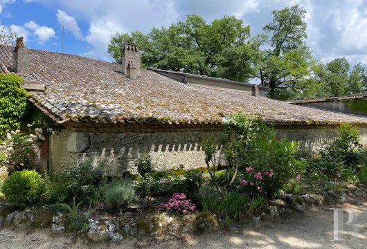 vineyards for sale France aquitaine   - 18