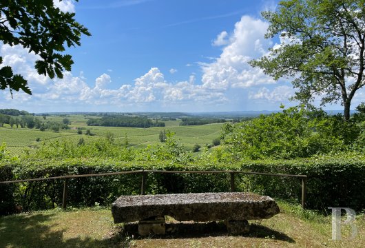 vineyards for sale France aquitaine   - 20