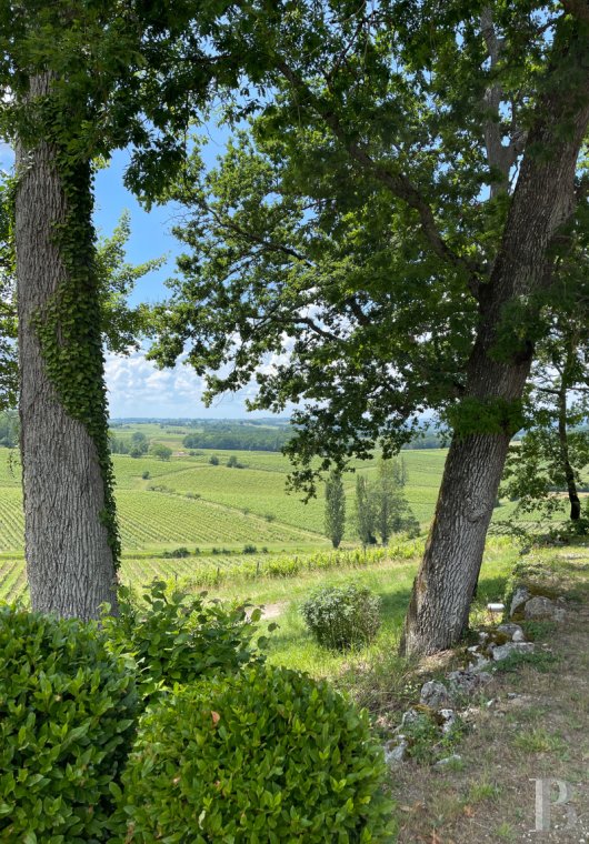 vineyards for sale France aquitaine   - 17