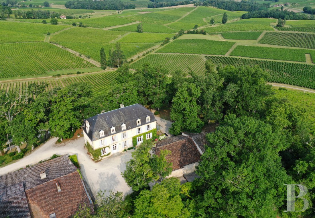 vineyards for sale France aquitaine   - 1