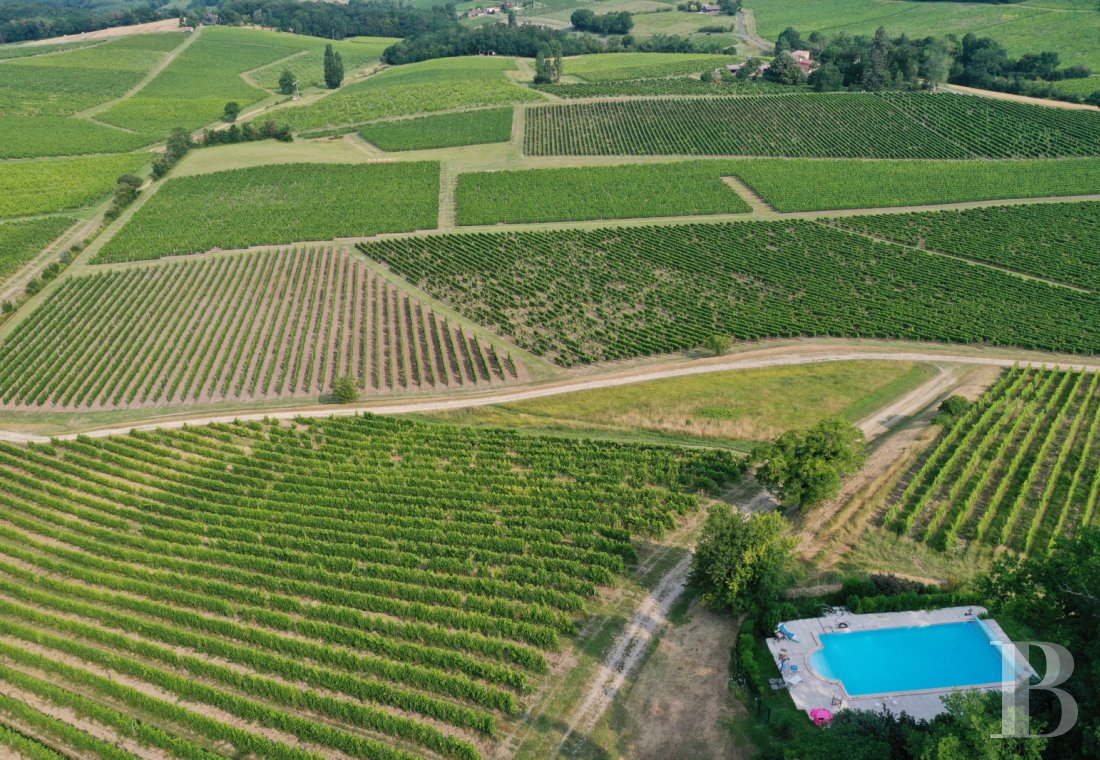 vineyards for sale France aquitaine   - 23