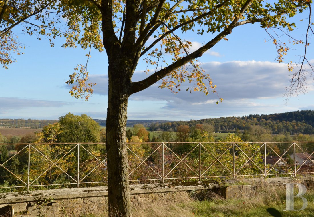 chateaux for sale France champagne ardennes   - 22