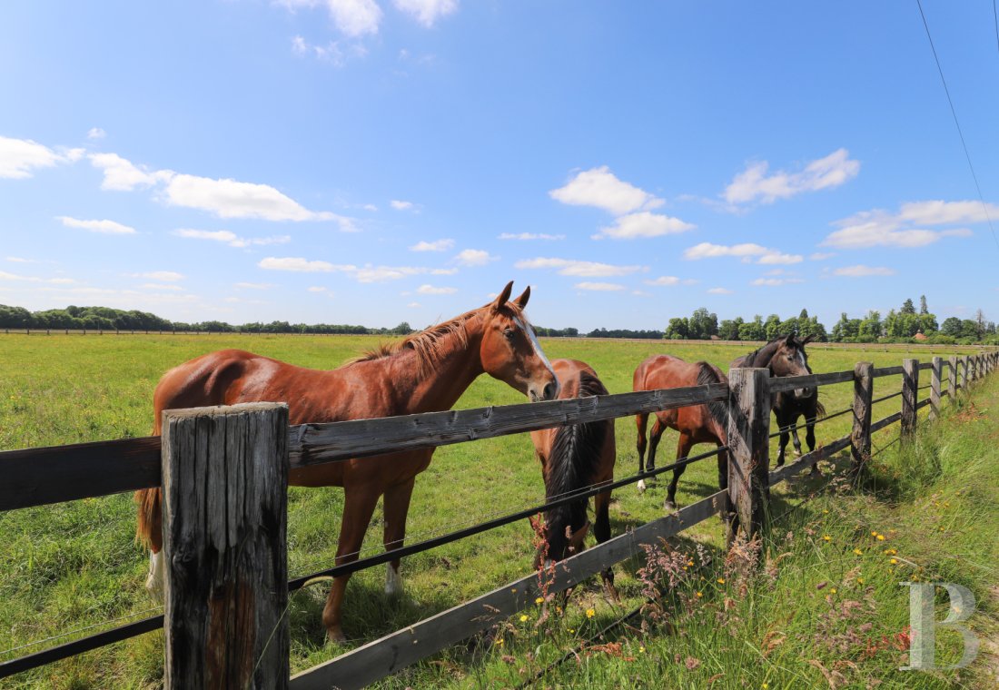 french equestrian properties for sale upper normandy   - 21