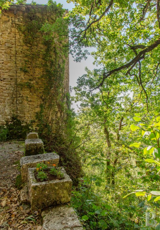 ruins for sale France rhones alps   - 7