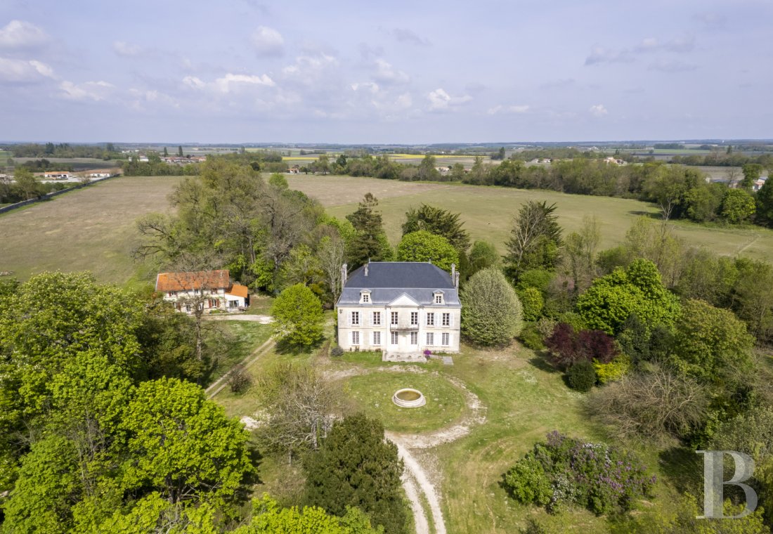 chateaux for sale France poitou charentes   - 1