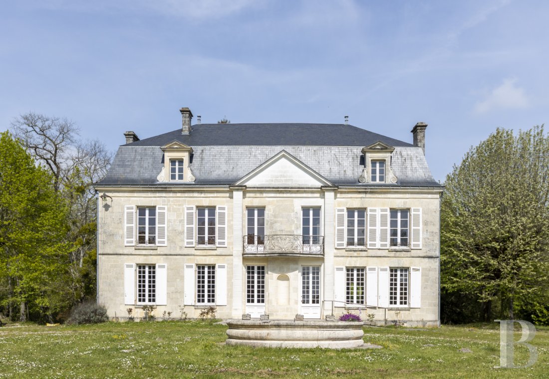 chateaux for sale France poitou charentes   - 2