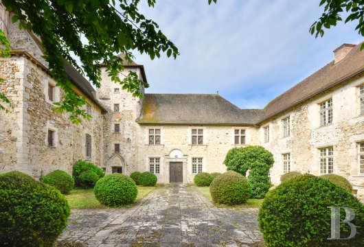 chateaux a vendre auvergne   - 3