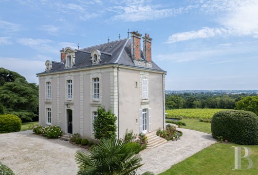 chateaux a vendre pays de loire   - 7