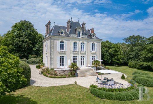 chateaux for sale France pays de loire   - 6