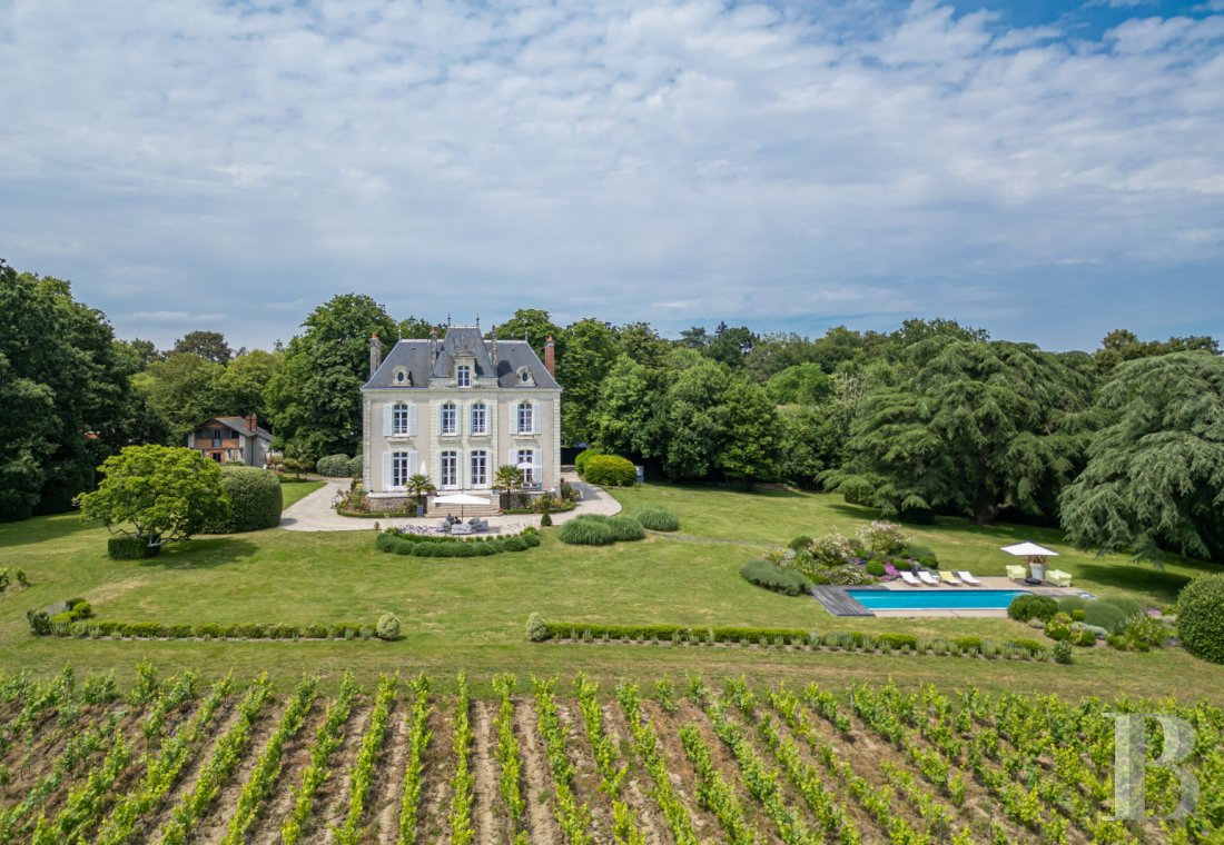 chateaux a vendre pays de loire   - 1