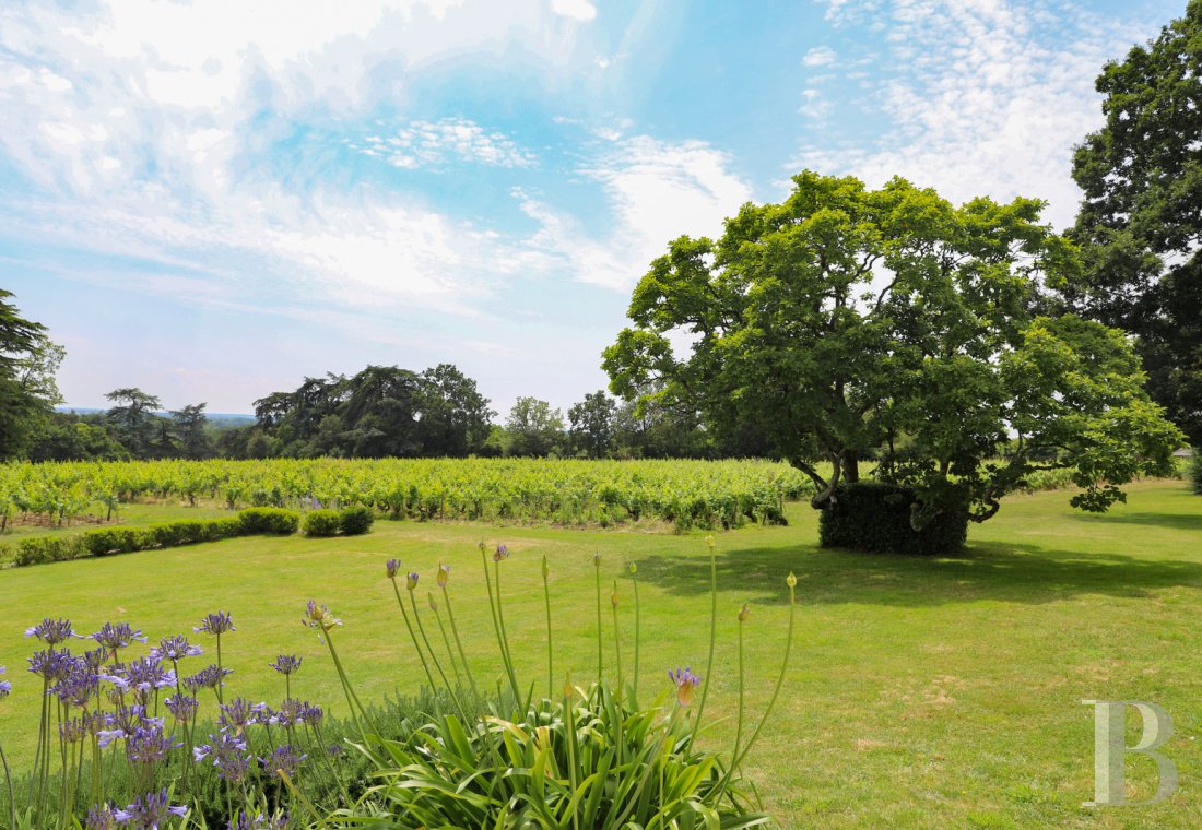 chateaux a vendre pays de loire   - 25