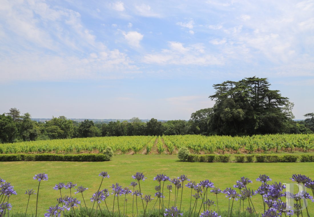 chateaux for sale France pays de loire   - 26