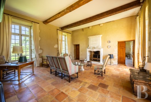 chateaux for sale France aquitaine   - 10