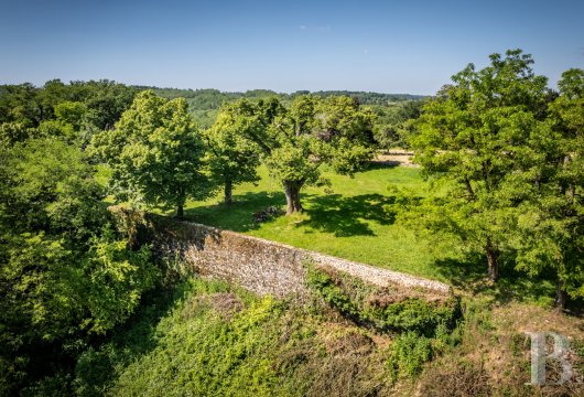 chateaux for sale France aquitaine   - 29