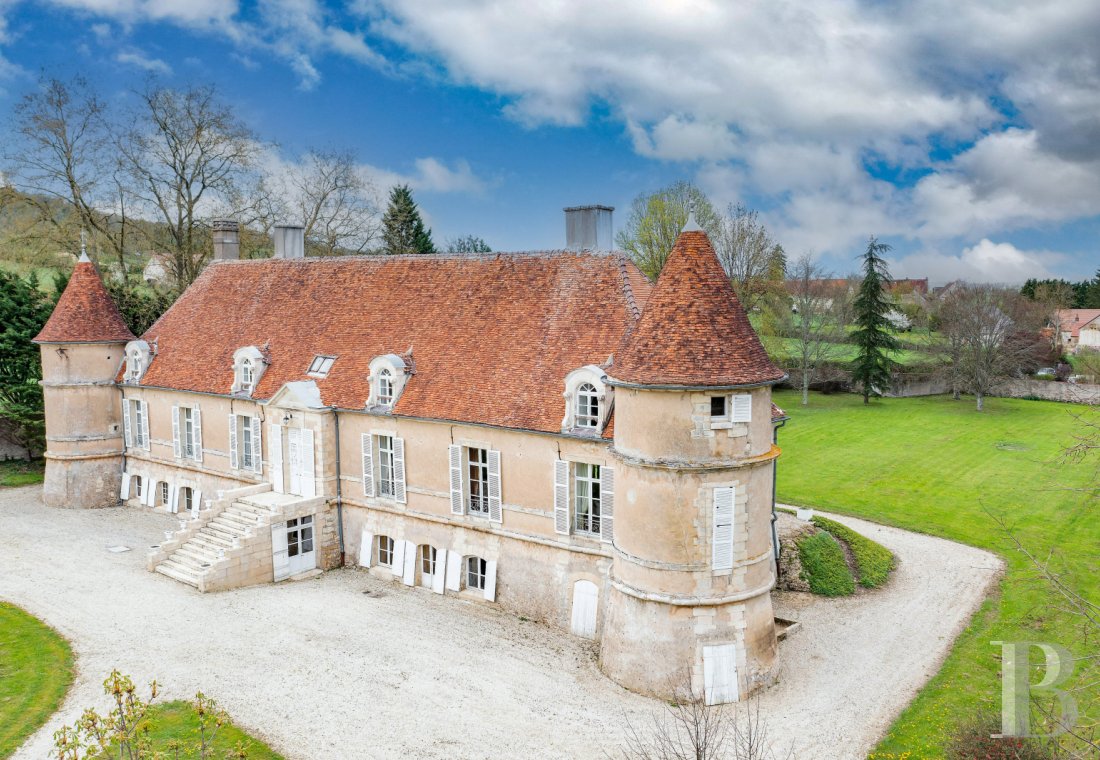 chateaux for sale France burgundy   - 1