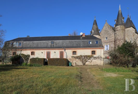 chateaux for sale France center val de loire   - 11