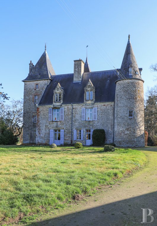 chateaux for sale France center val de loire   - 2