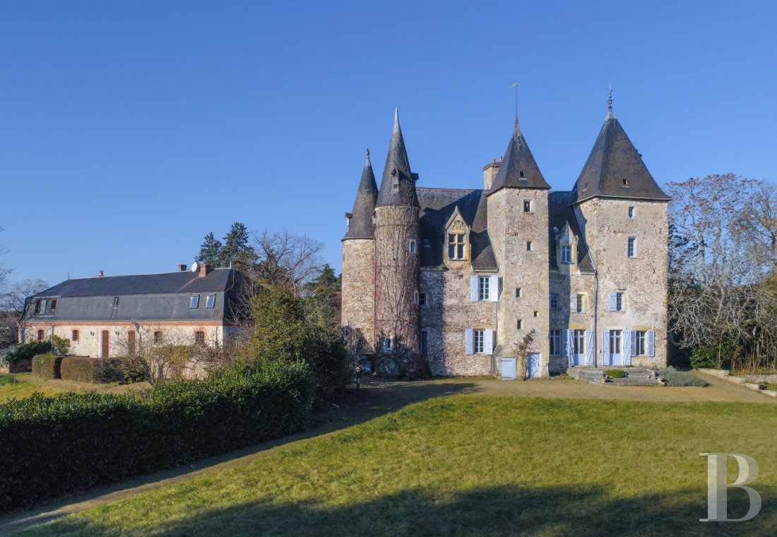 chateaux for sale France center val de loire   - 15