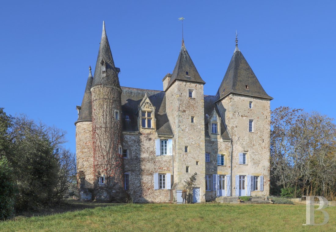 chateaux for sale France center val de loire   - 1