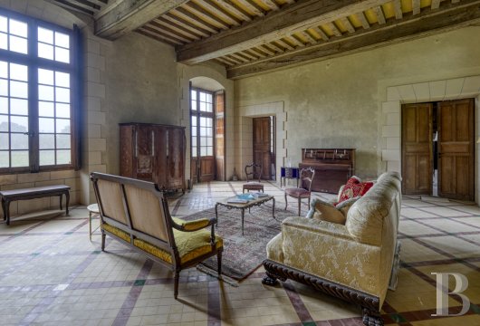 chateaux for sale France pays de loire   - 11