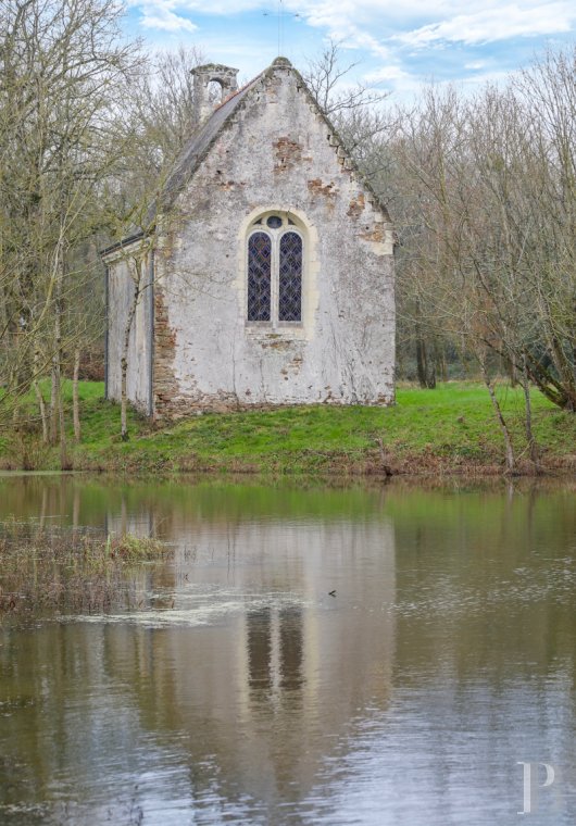 chateaux for sale France pays de loire   - 18