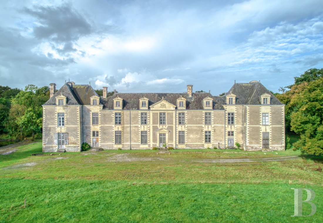 chateaux for sale France pays de loire   - 1