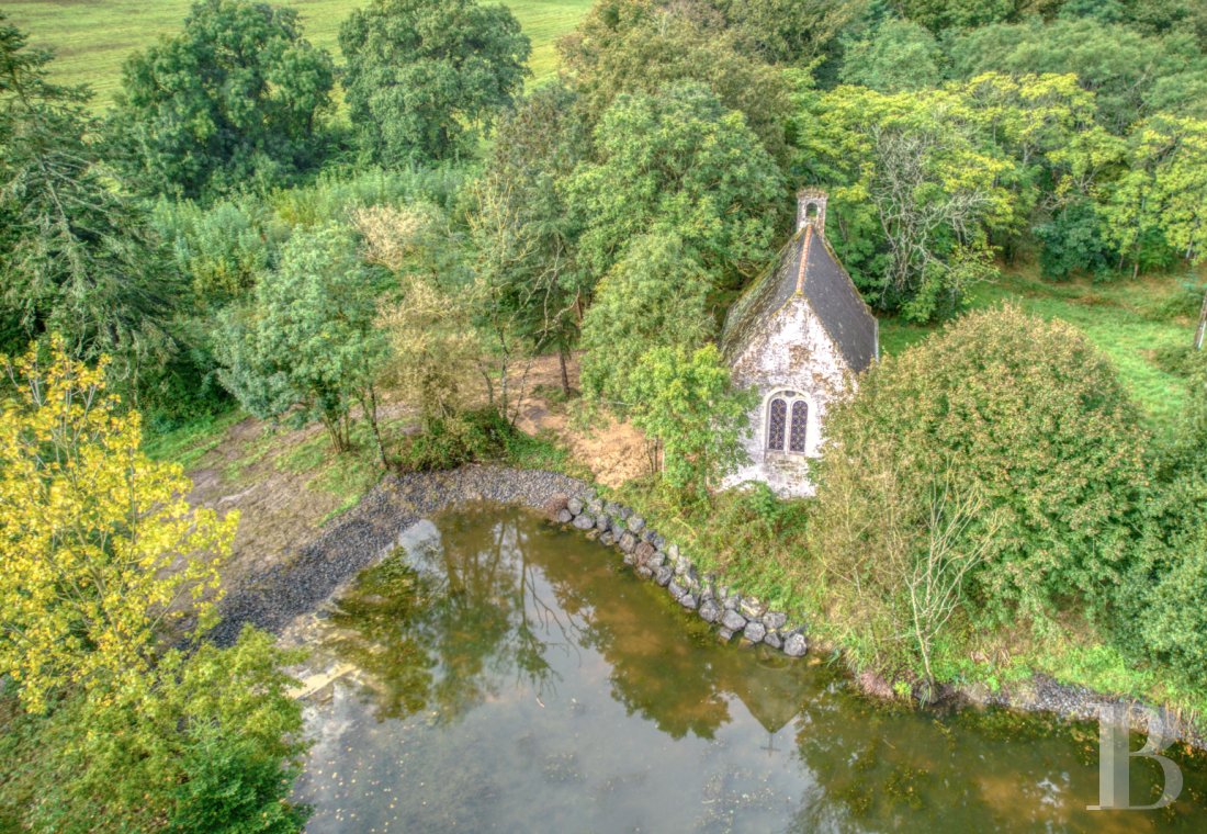 chateaux a vendre pays de loire   - 17