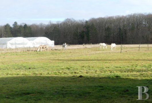 maisons de caractere a vendre centre val de loire   - 16