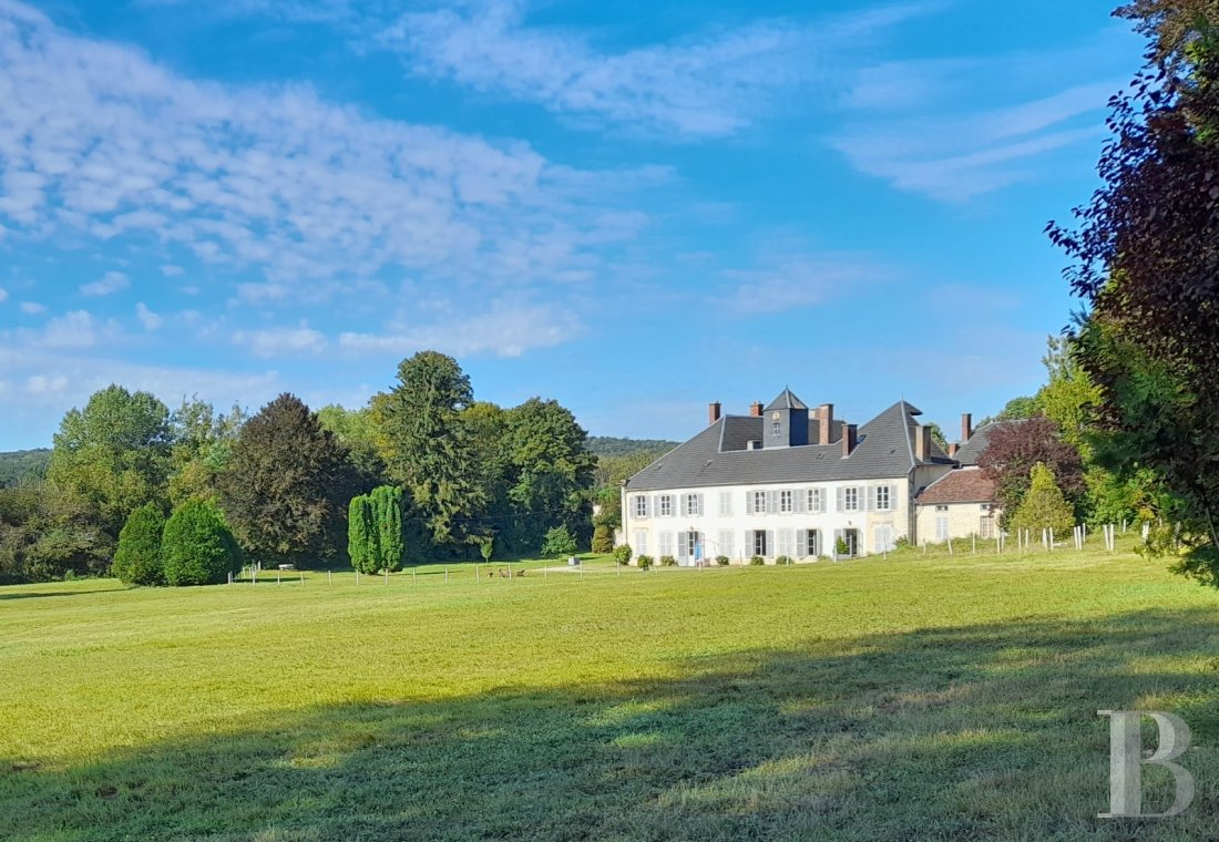 chateaux for sale France champagne ardennes   - 1