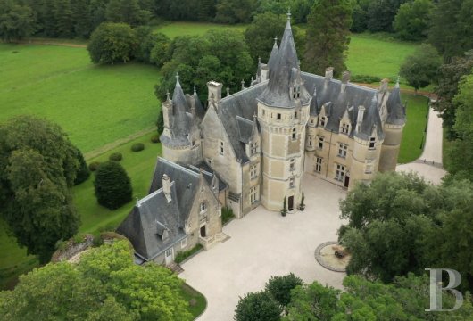 chateaux for sale France center val de loire   - 3