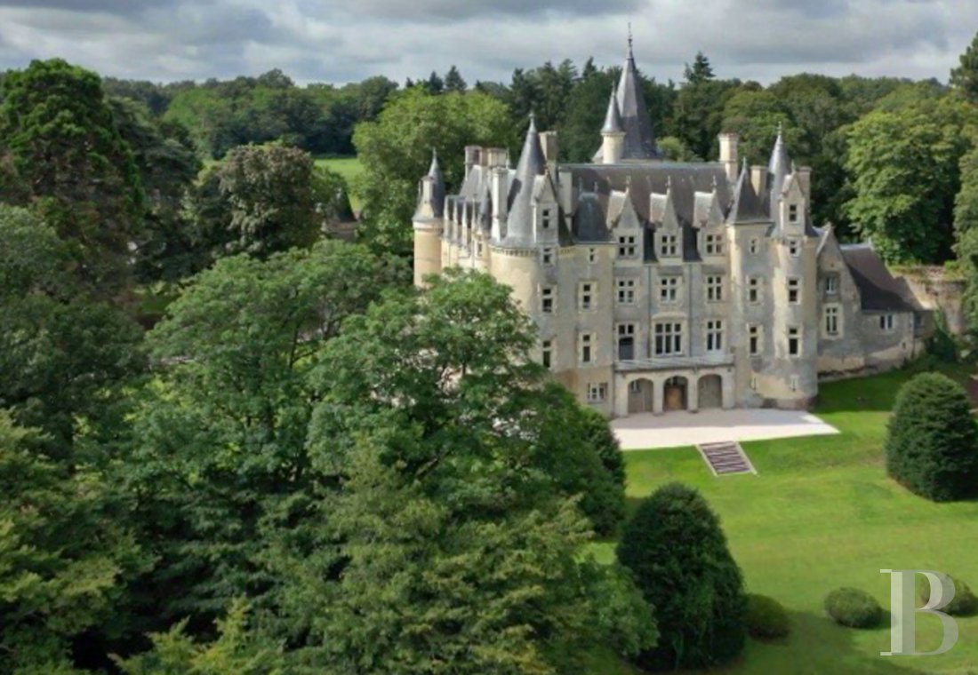 chateaux for sale France center val de loire   - 2