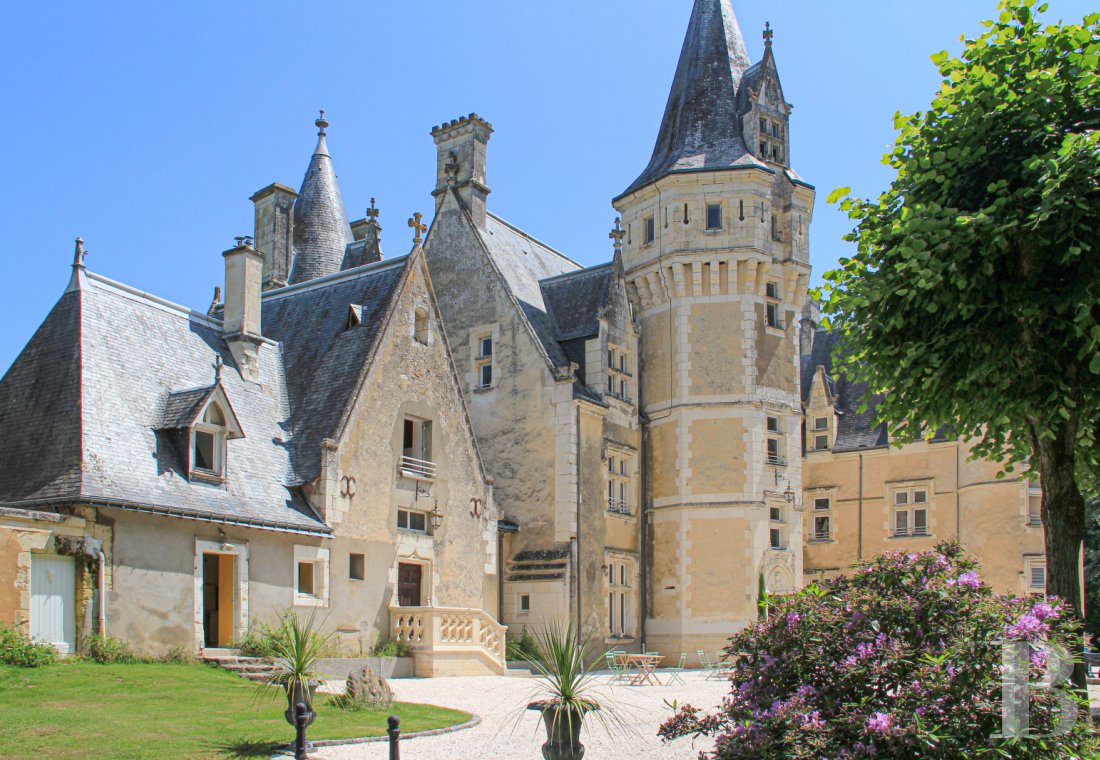 chateaux for sale France center val de loire   - 1