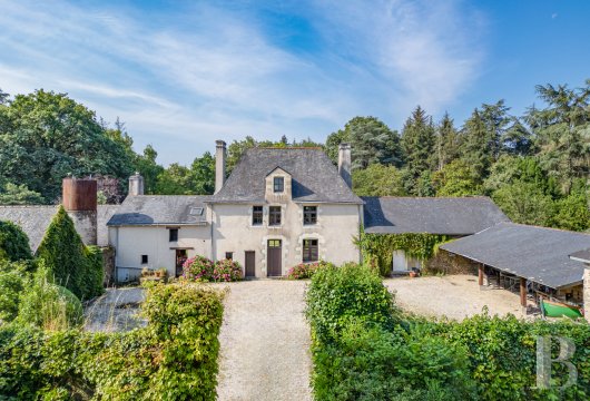 France mansions for sale pays de loire   - 4