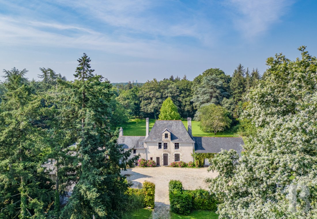 France mansions for sale pays de loire   - 21