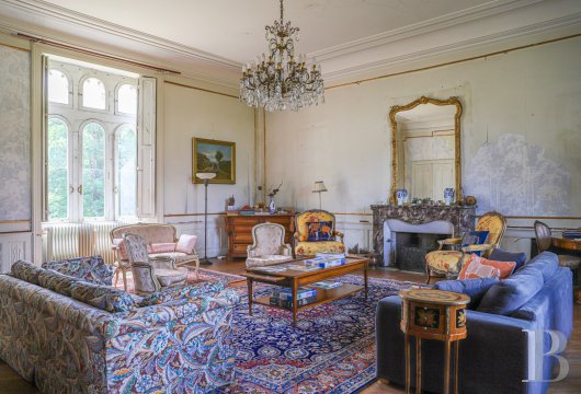 chateaux for sale France pays de loire   - 10