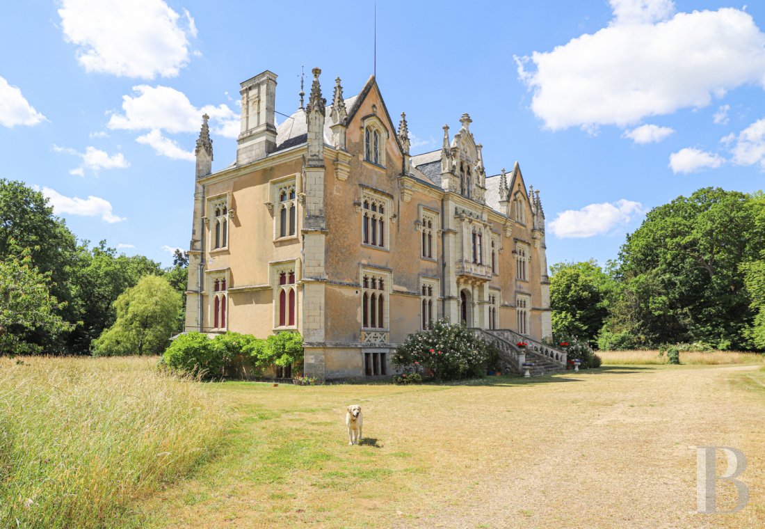 chateaux for sale France pays de loire   - 1