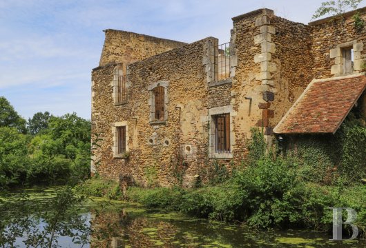 chateaux for sale France burgundy   - 5