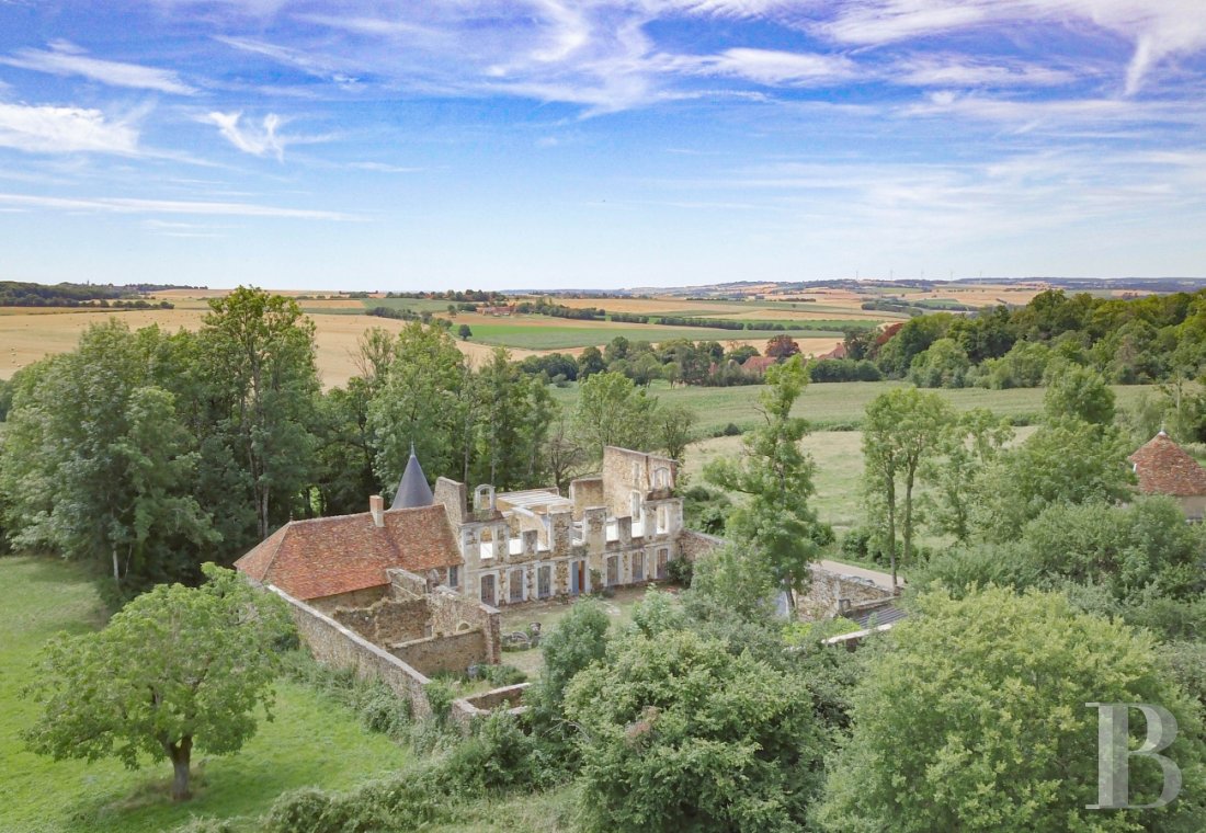 chateaux for sale France burgundy   - 1